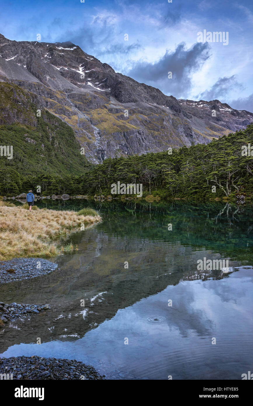 Homme randonnée par Blue Lake, Nelson Lakes National Park, New Zealand Banque D'Images