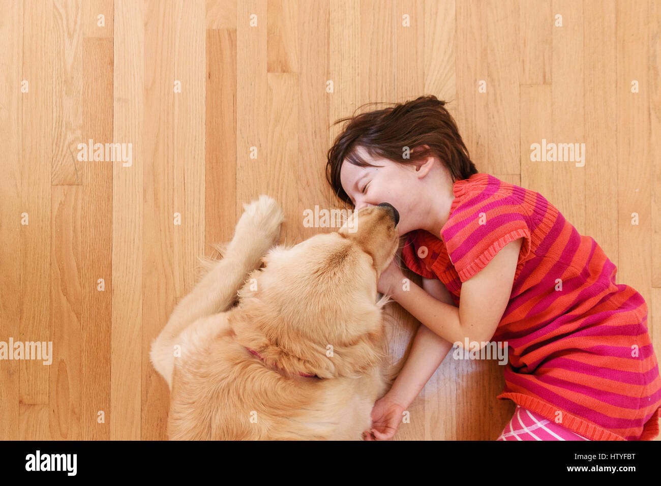 Vue de dessus de golden retriever dog licking visage de la fille. Banque D'Images