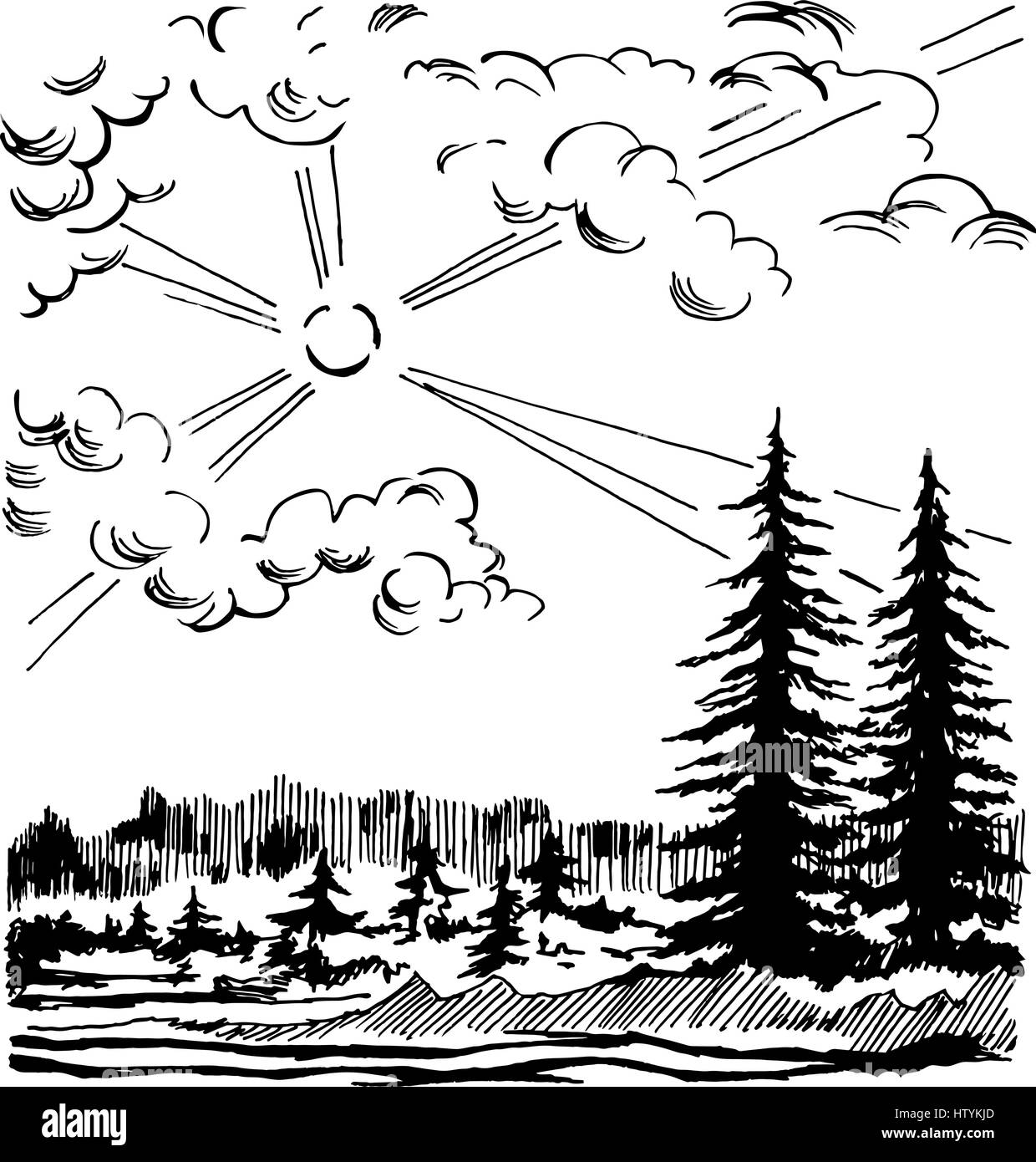 Paysage de forêt de conifères Illustration de Vecteur