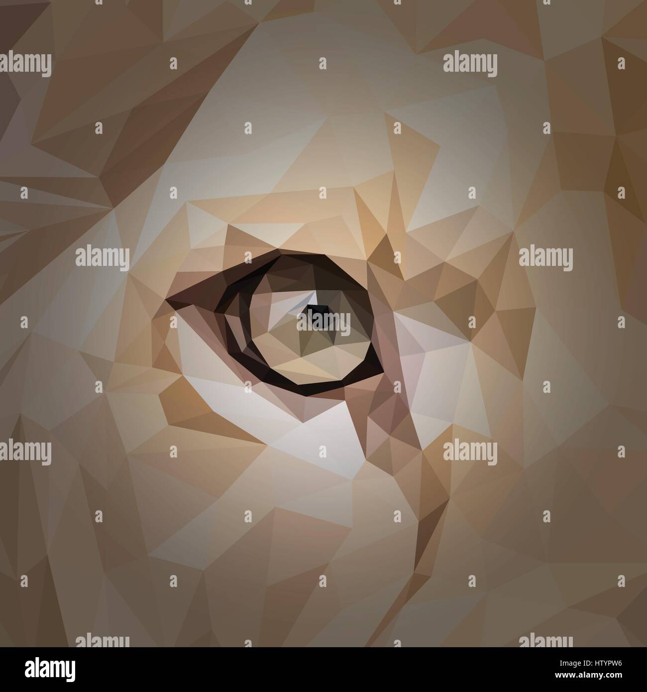 Lionne animal eye design poly faible. Illustration vecteur de triangle. Illustration de Vecteur