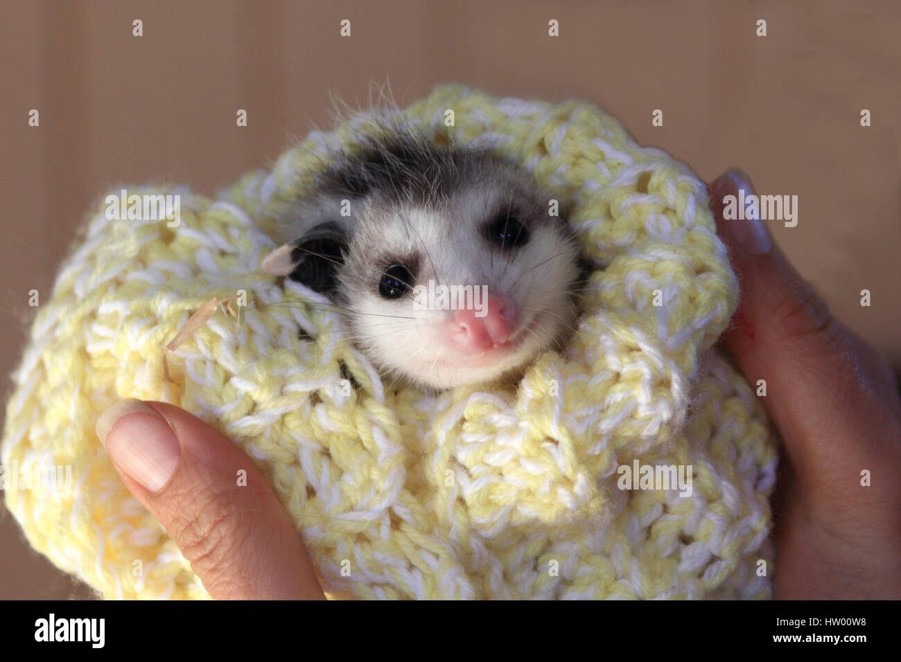 Mort Du Nouveau Ne Banque D Image Et Photos Alamy Mort Du Nouveau Ne Banque D Image Et Photos Alamy