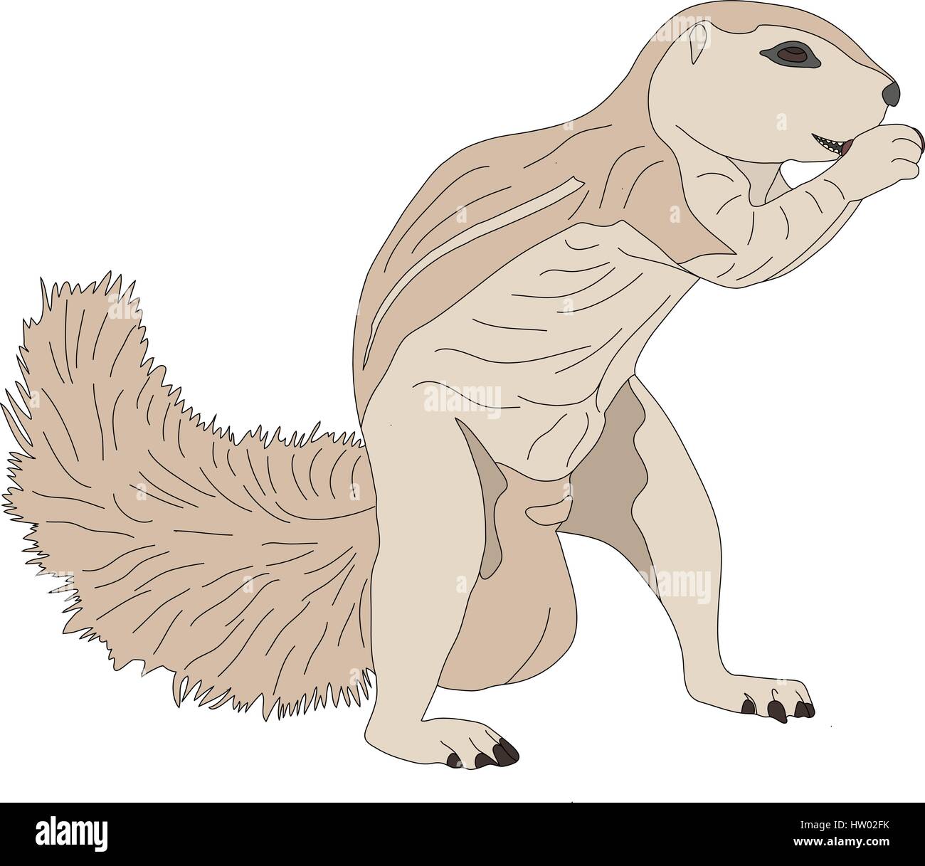 Portrait d'un écureuil terrestre Illustration de Vecteur