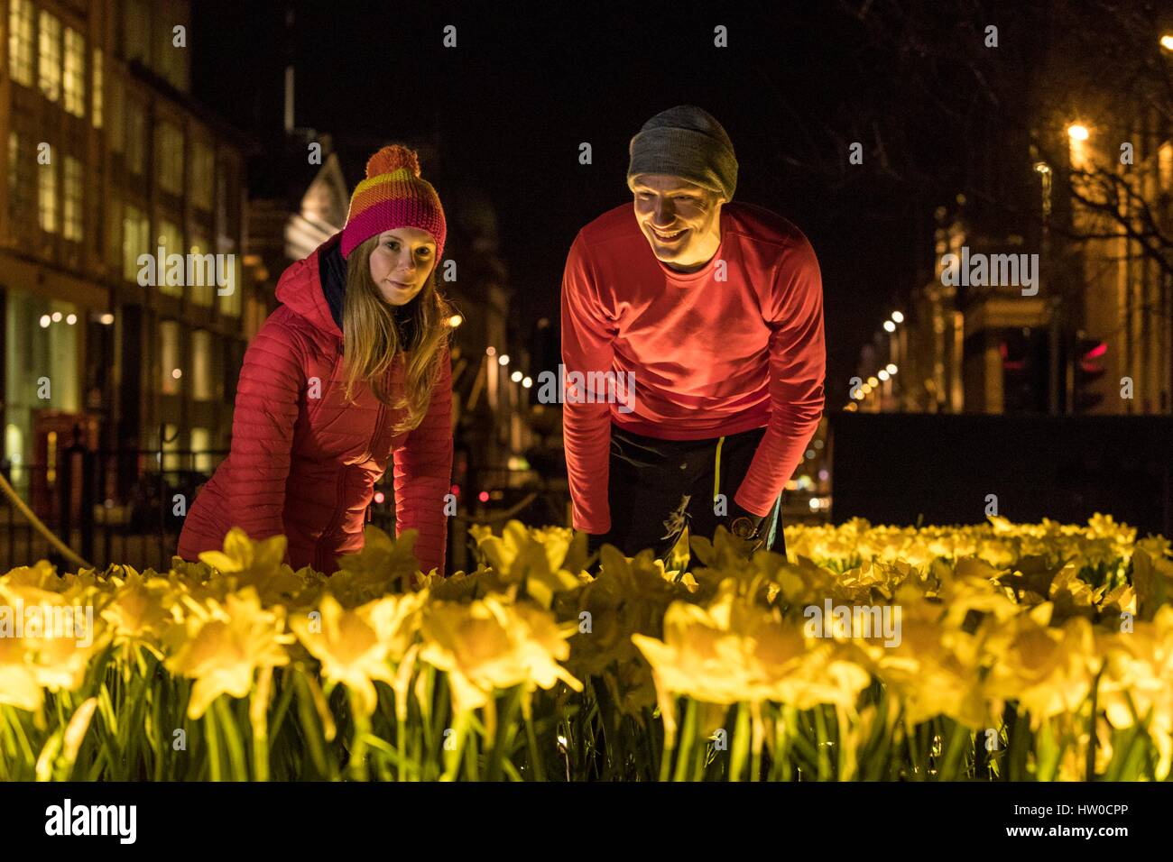 Edinburgh, Ecosse, Royaume-Uni. 15 mars 2017. Marie Curie fête son grand appel de la Jonquille avec une installation de 2 100 jonquilles artisanal appelé Jardin de lumière à Edinburgh's St Andrew Square. Sur la photo ; Ula Trochimiak et Richard Meade, Marie Curie employés l'inspection de l'installation terminé : Crédit Dyson riche/Alamy Live News Banque D'Images