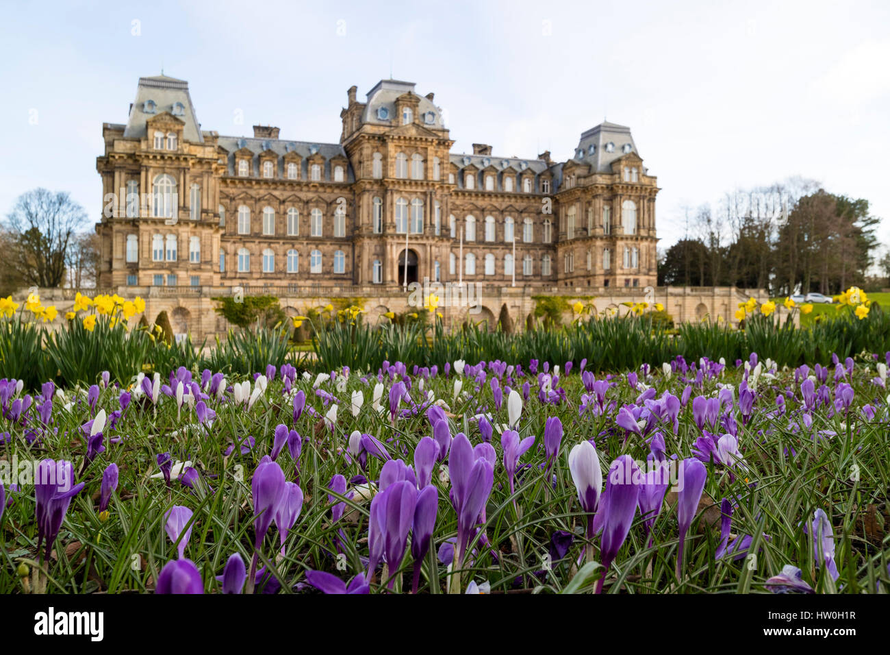 Bowes Museum, Barnard Castle, comté de Durham au Royaume-Uni. Jeudi 16 mars 2017. Météo britannique. Fleurs de Crocus et jonquilles ajouter quelques couleurs de saison pour les jardins de l'Bowes Museum ce matin que le printemps chaud temps persiste dans le Nord de l'Angleterre. Crédit : David Forster/Alamy Live News Banque D'Images