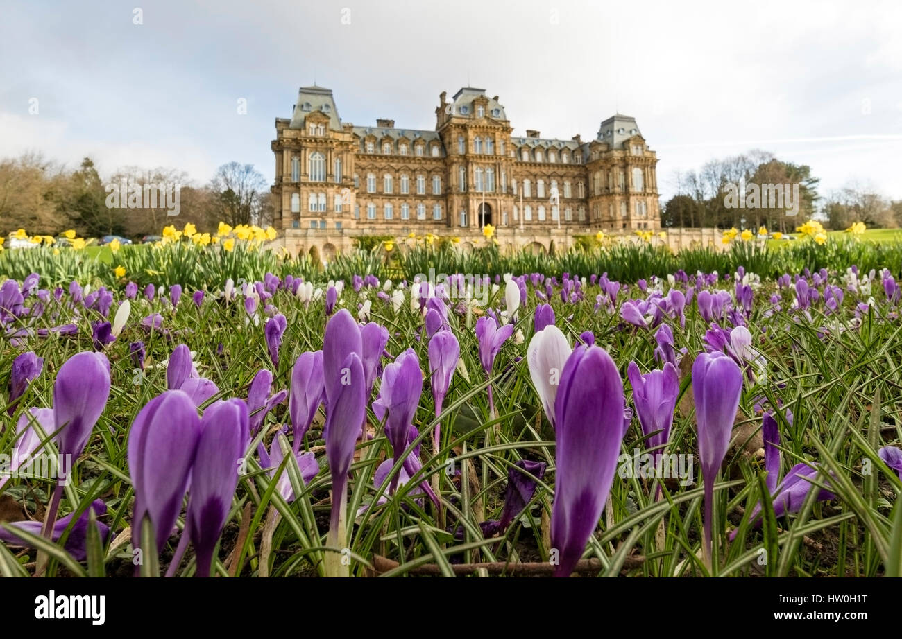Bowes Museum, Barnard Castle, comté de Durham au Royaume-Uni. Jeudi 16 mars 2017. Météo britannique. Fleurs de Crocus et jonquilles ajouter quelques couleurs de saison pour les jardins de l'Bowes Museum ce matin que le printemps chaud temps persiste dans le Nord de l'Angleterre. Crédit : David Forster/Alamy Live News Banque D'Images