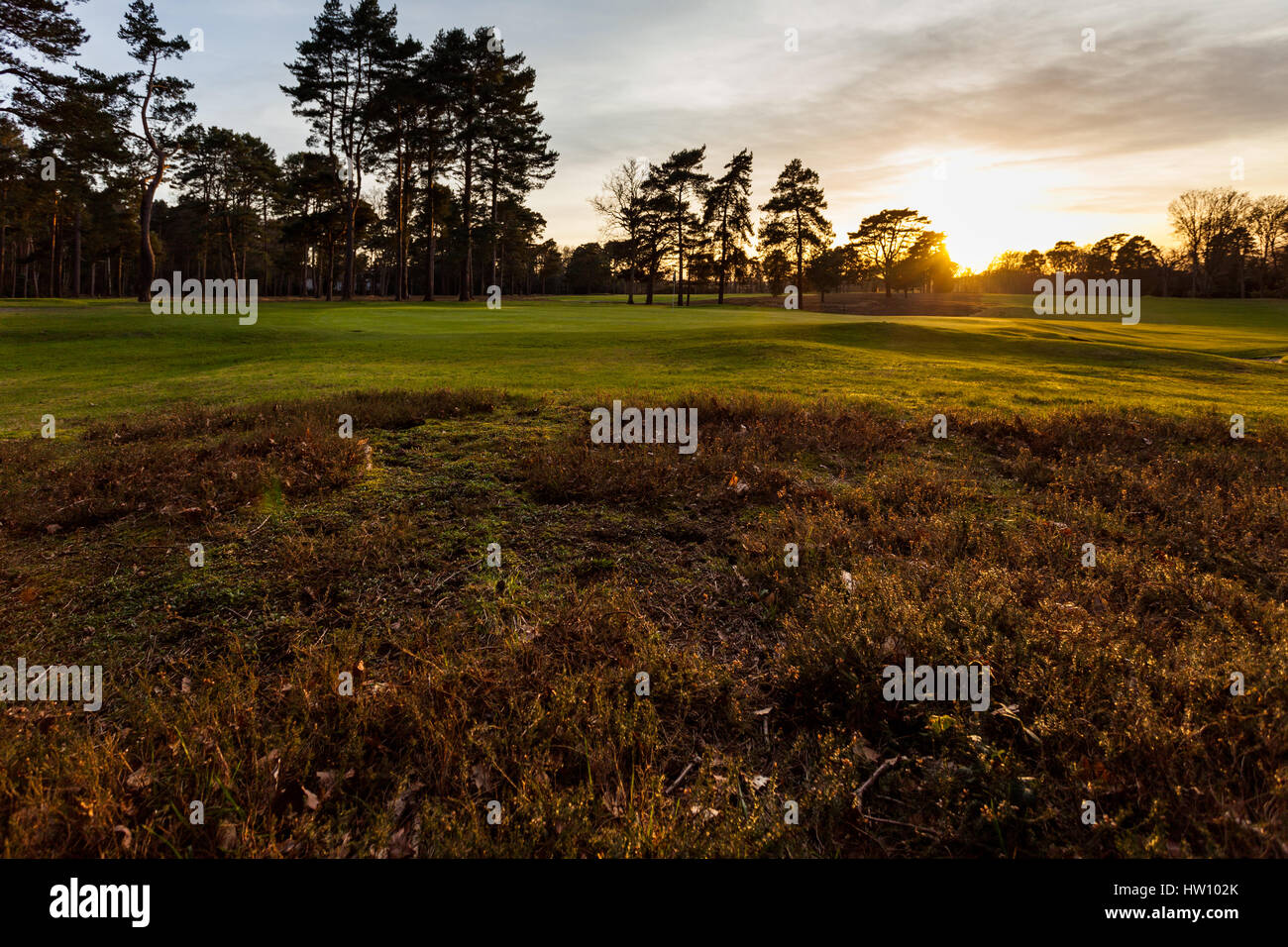 Coucher de soleil sur Woking Golf Club Banque D'Images