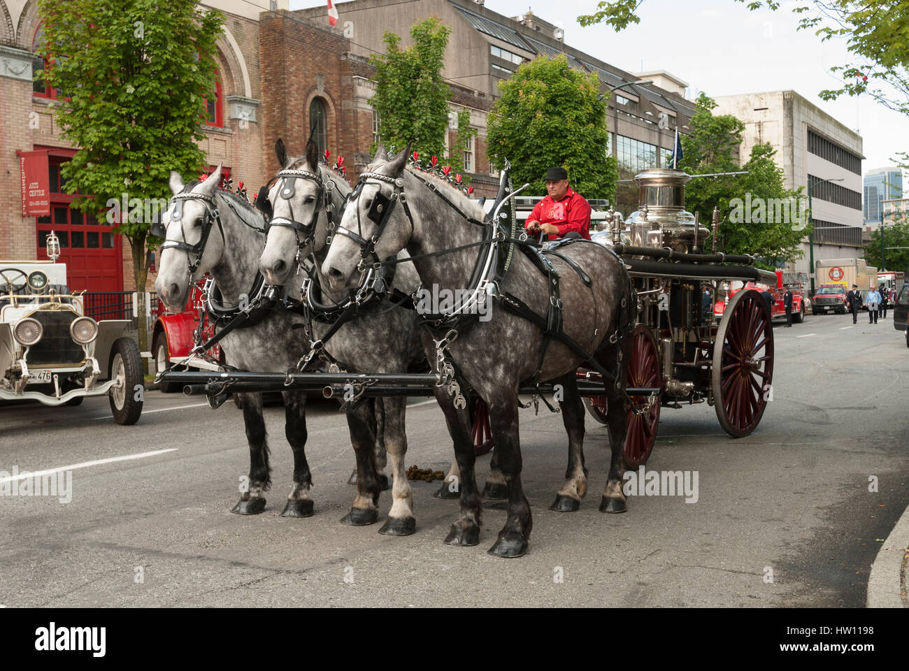 Équipe de chevaux de trait Percherons tirant une autopompe Waterous 1899. Banque D'Images