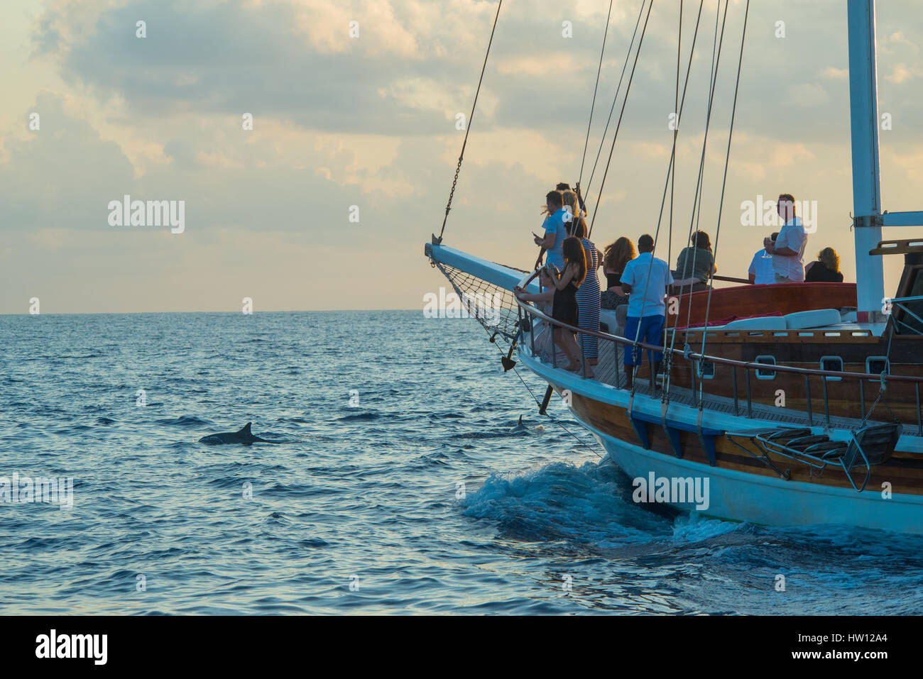 Les Maldives, Rangali Island. Conrad Hilton Resort. La croisière au coucher du soleil à regarder les dauphins nager. Banque D'Images