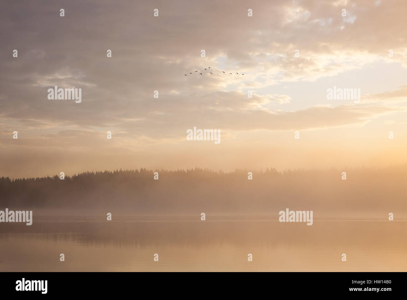 Lever du soleil sur le lac brumeux Banque D'Images