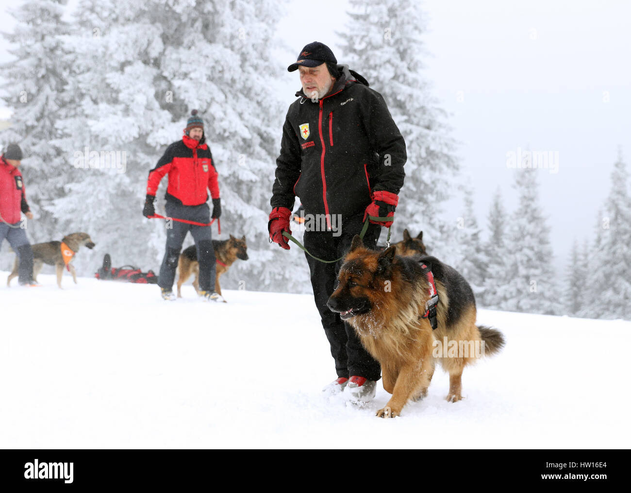 Sauveteur de la montagne au service de sauvetage Croix-Rouge bulgare et son chien participent à une formation pour les personnes d'économie dans une avalanche. Banque D'Images