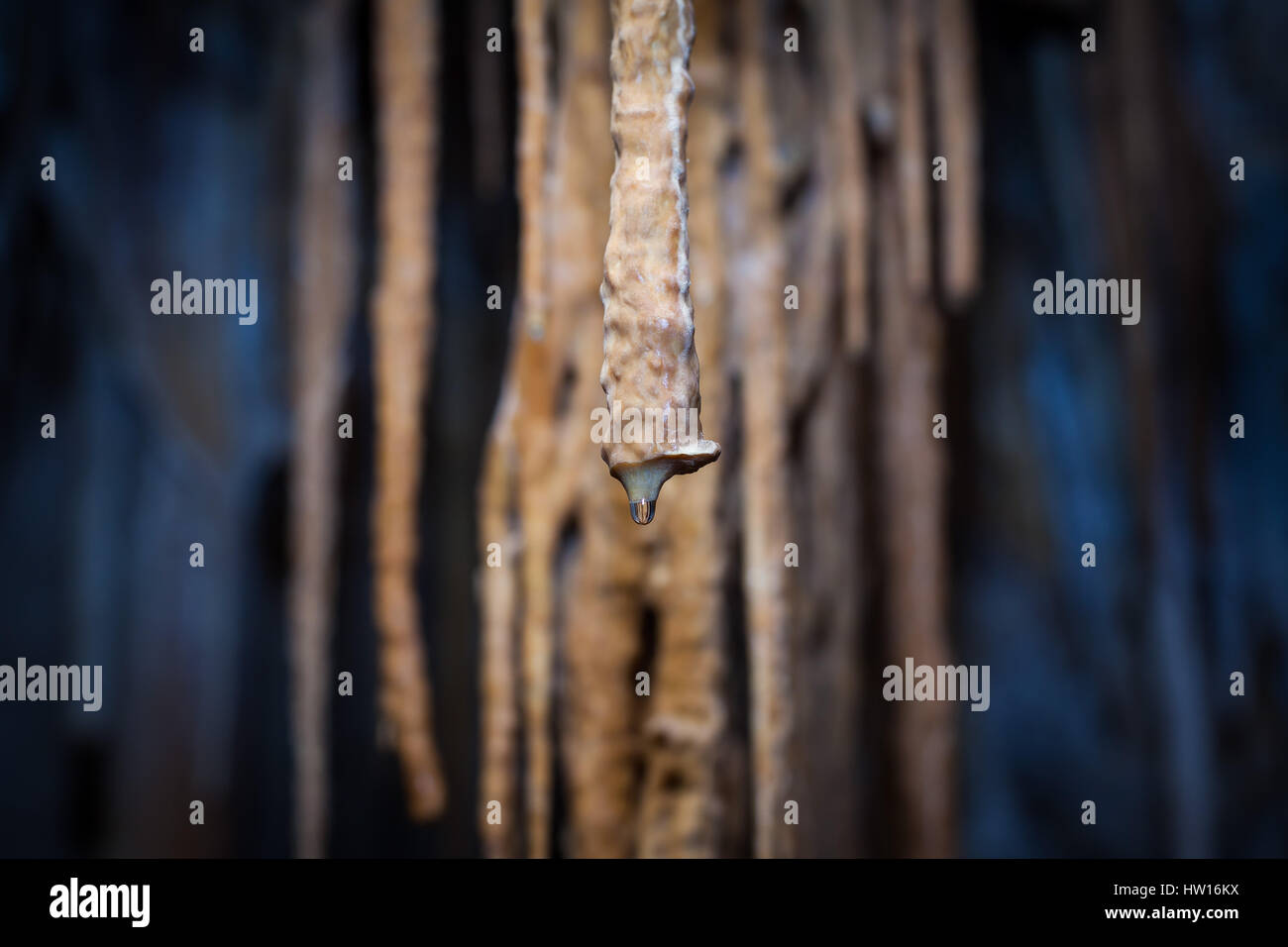 - Grotte de stalactites, de l'Australie Banque D'Images