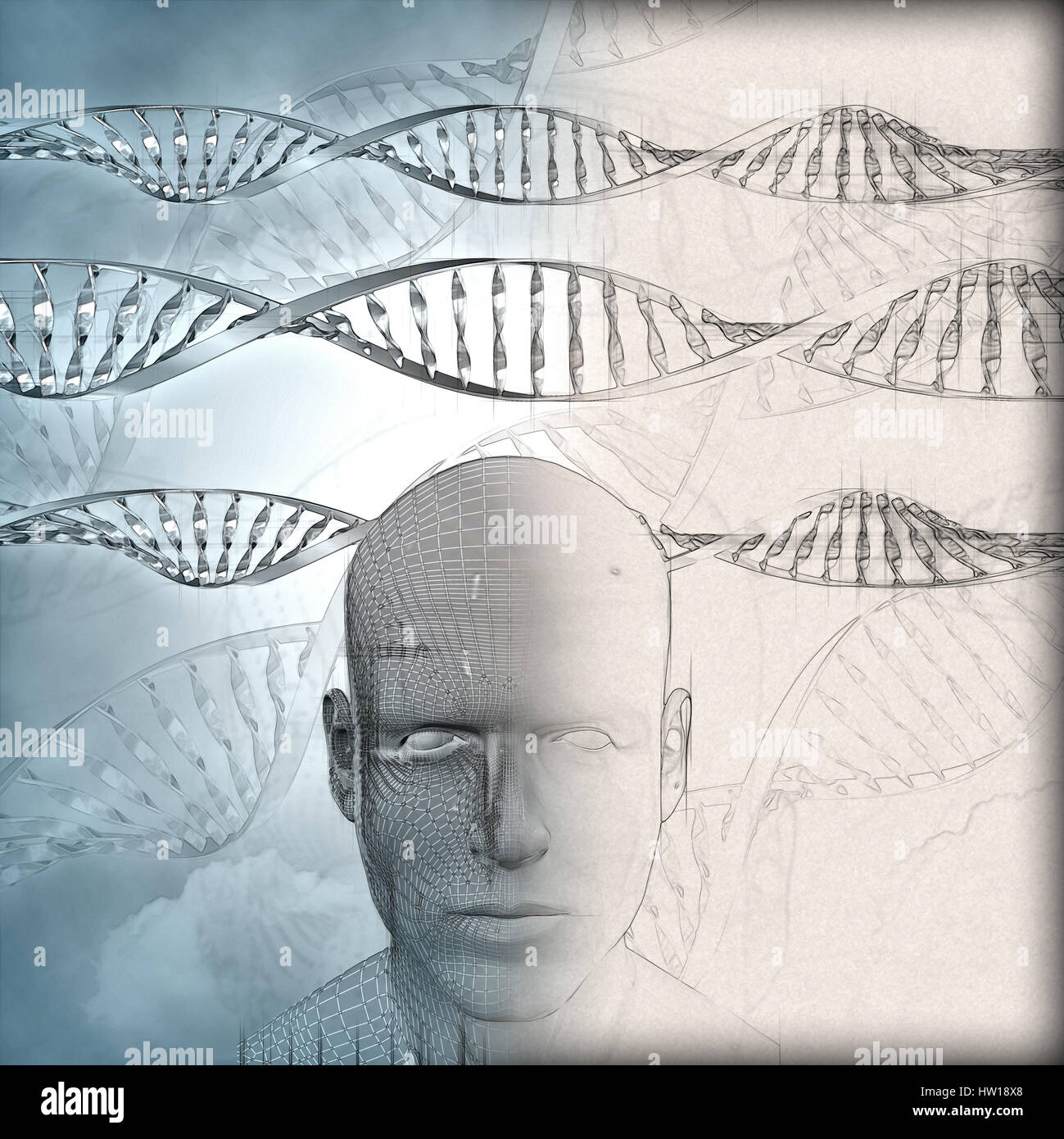 Formation médicale en 3D avec des brins d'ADN et mâle visage avec phase esquisse partielle Banque D'Images