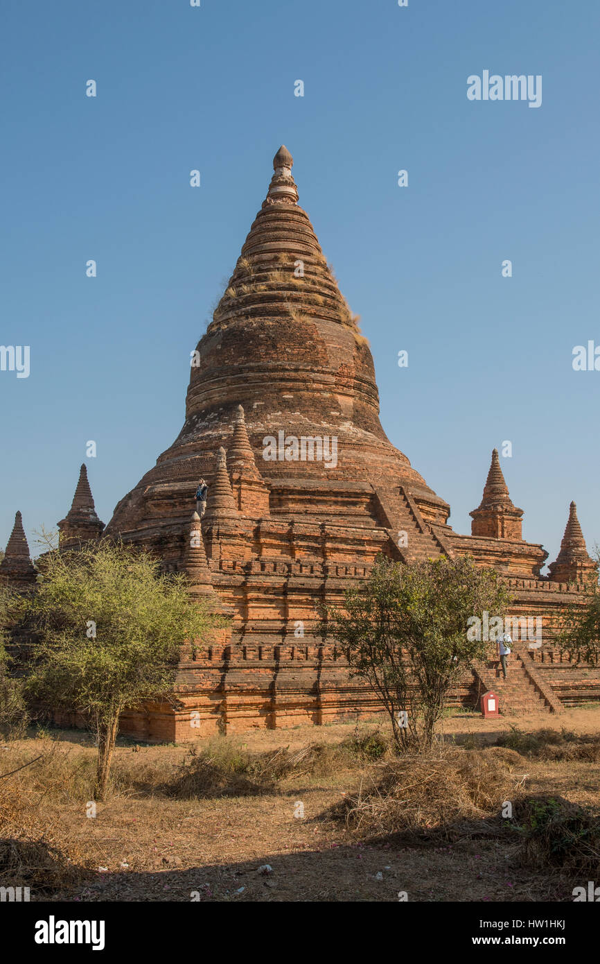 L'affichage au Temple Kyaung Nathlaung Stupa, Bagan, Myanmar Banque D'Images