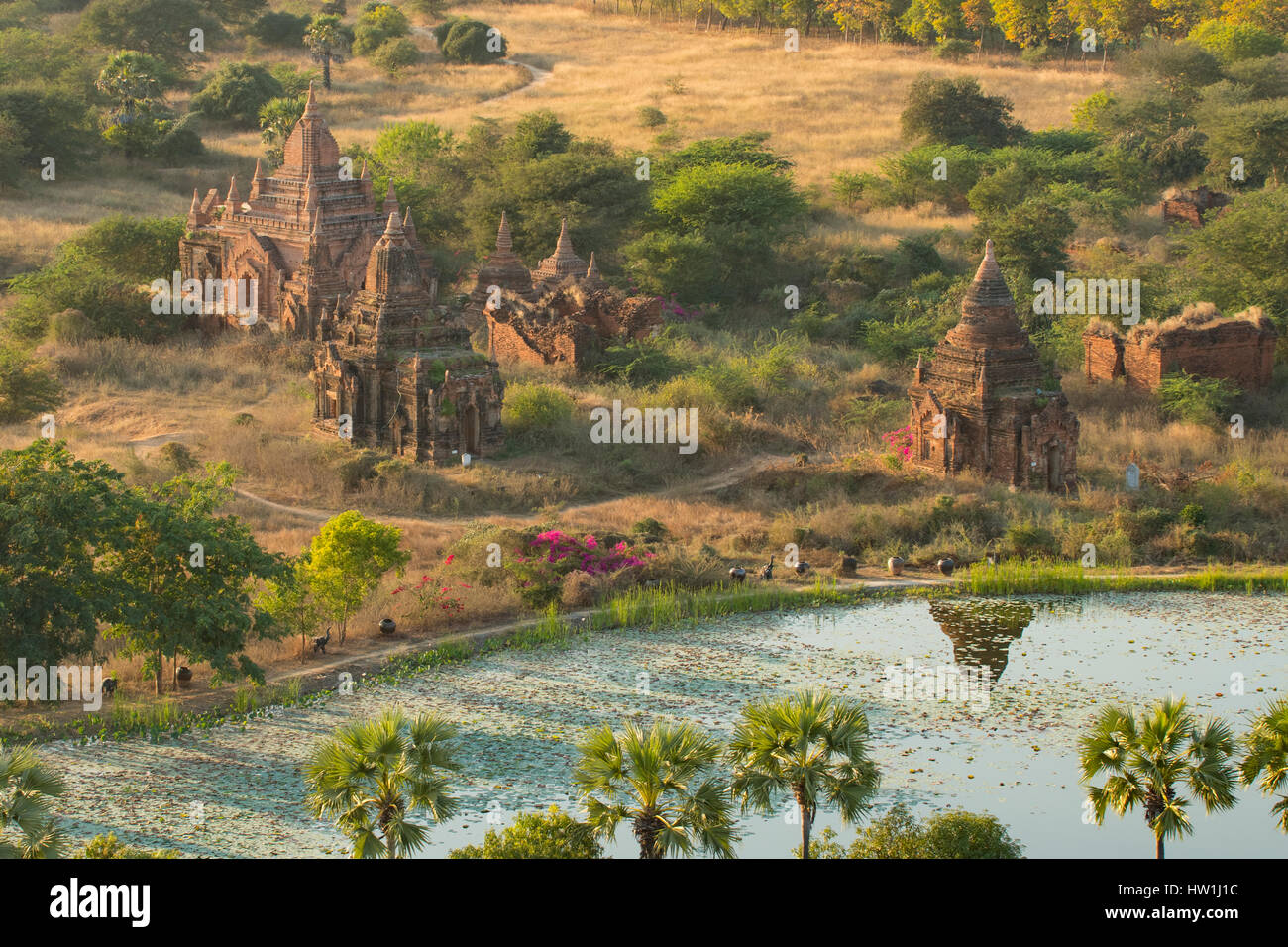 Pagodes de Bagan, Myanmar Banque D'Images