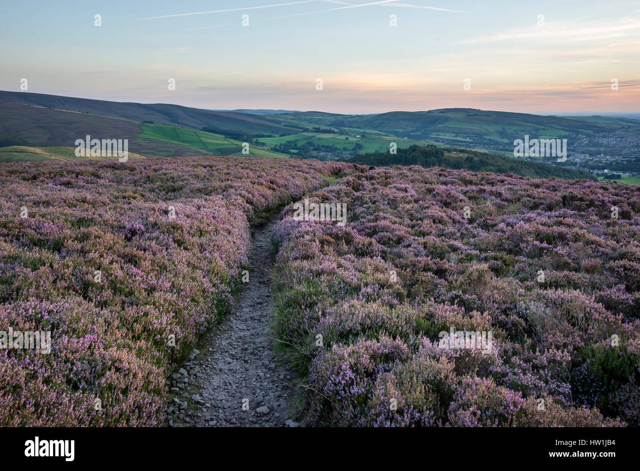 Crépuscule sur la lande de bruyère près de Hyde dans le Nord de l'Angleterre. Banque D'Images