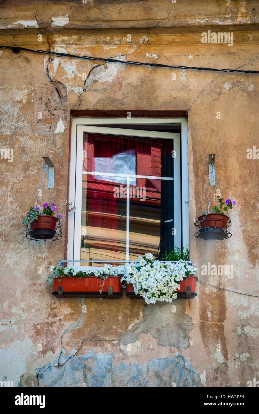 Vue sur vieille fenêtre décorée de pots de fleurs Banque D'Images