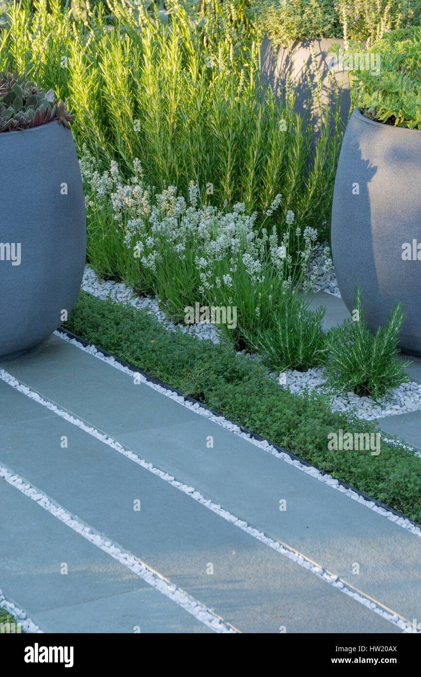 La plantation de plantes grasses et d'herbes sur le RHS Hampton Court Show Gardens 2015 - Living Landscapes : guérison jardin urbain, d'argent, Médaille de la culpabilité conçu par Banque D'Images