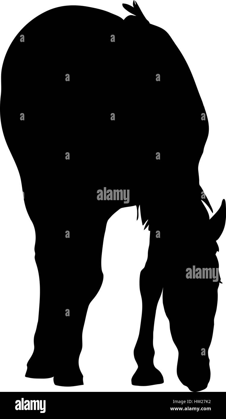 Silhouette d'un cheval sauvage du désert garub Illustration de Vecteur
