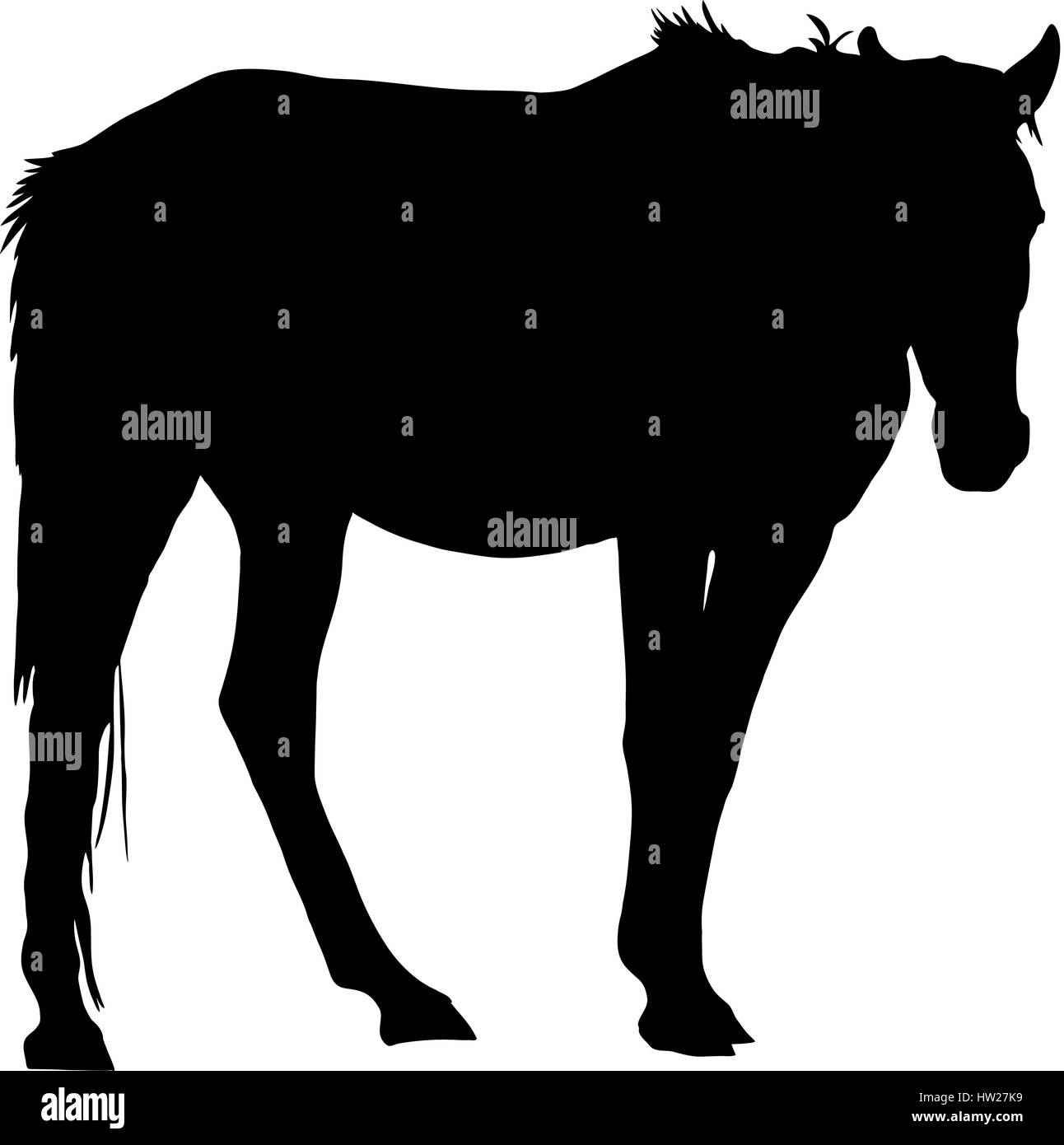 Silhouette d'un cheval sauvage du désert garub Illustration de Vecteur