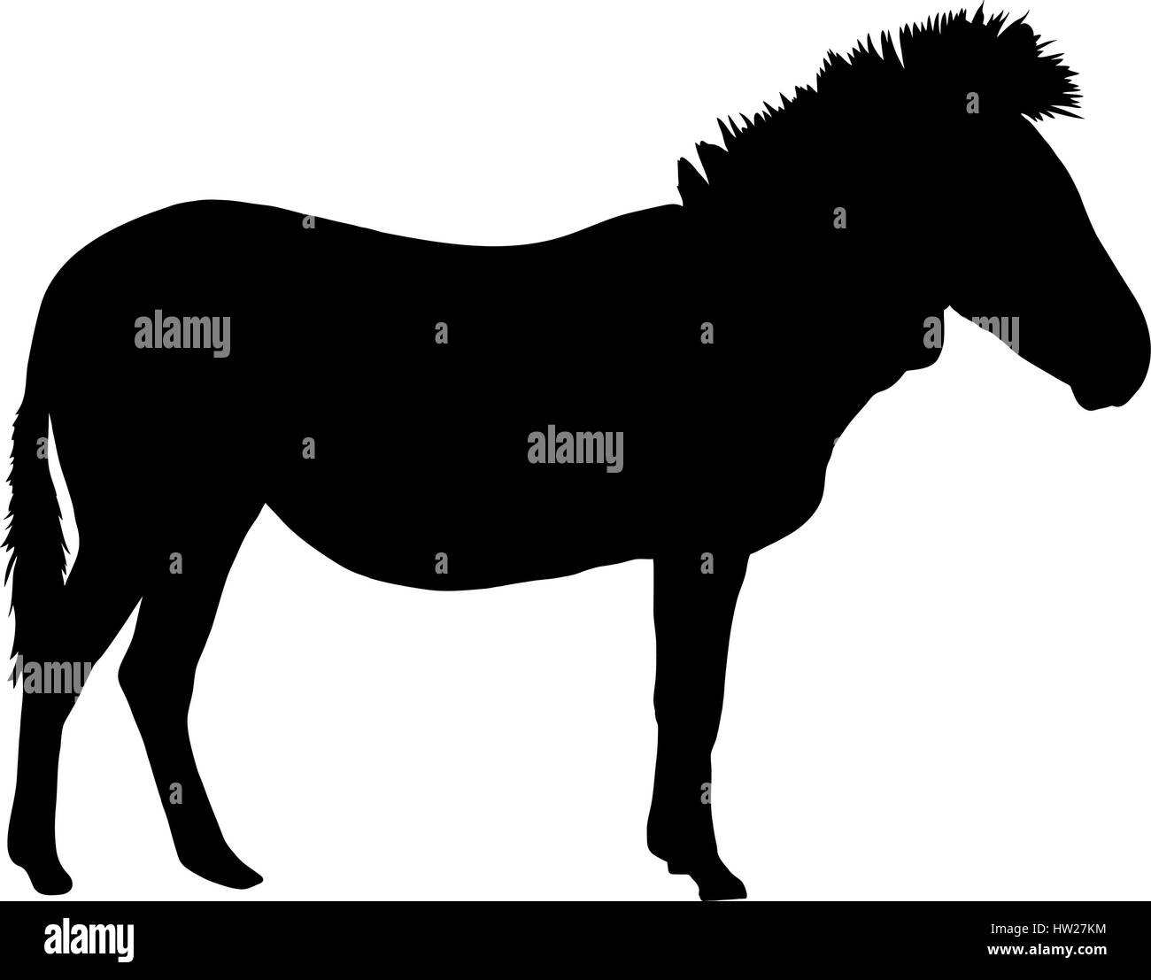 Silhouette d'un zèbre de montagne de Hartmann, Comité permanent Illustration de Vecteur