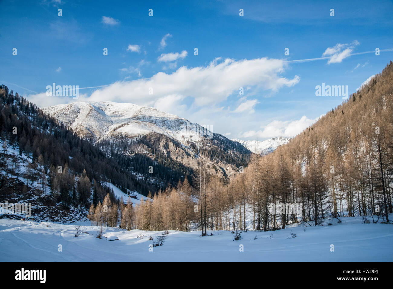 Autriche, Tyrol, paysage d'hiver dans les montagnes de Villgratental Banque D'Images