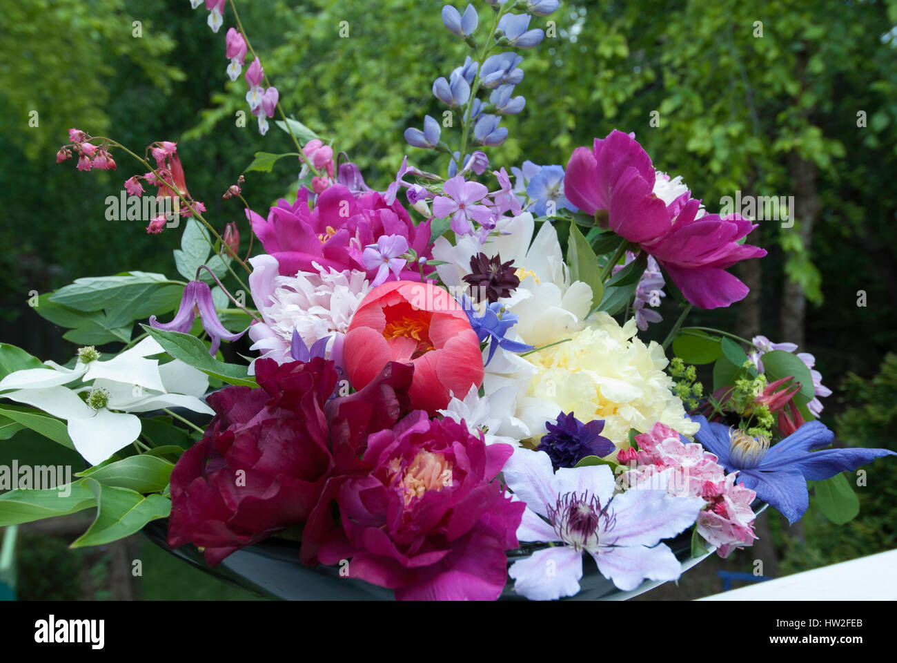 Bouquets De Fleurs De Mai Pivoines Baptisia Clematis Le