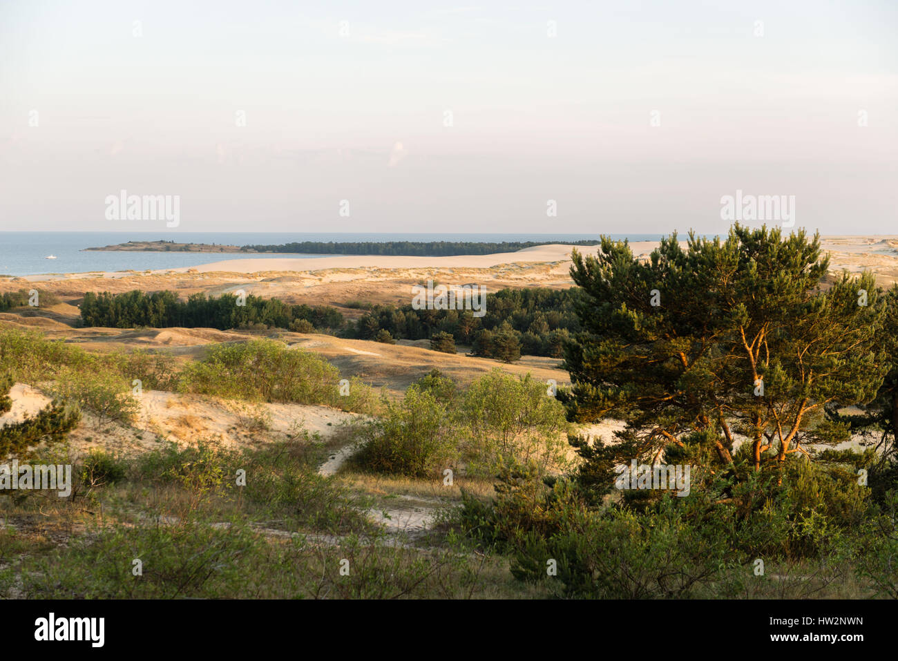 Vue sud de la Fédération - frontière lituanienne de la Dune de Parnidis sur l'isthme de Courlande, Nida, Lituanie, Europe de l'Est Banque D'Images