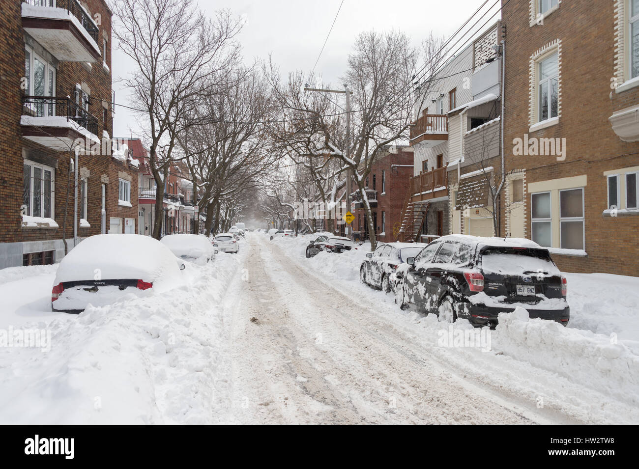 Montréal, Canada - 16 mars 2017 : voitures couvertes de neige après Stella tempête de neige. Banque D'Images