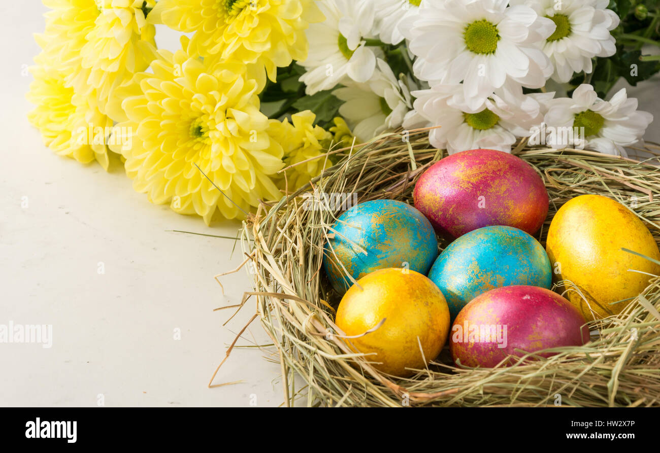 Oeufs de Pâques dans un nid de paille, lapin de Pâques cookies , fleurs jaunes et blancs se trouvent sur l'arrière-plan d'un tableau blanc Banque D'Images