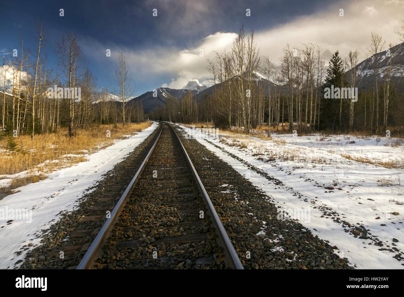 Chemin de fer canadien Pacifique ligne ferroviaire Canmore Alberta Foothills Aspen Trees Springtime Landscape Parc national Banff Canadian Rocky Mountains Banque D'Images Chemin de fer canadien Pacifique ligne ferroviaire Canmore Alberta Foothills Aspen Trees Springtime Landscape Parc national Banff Canadian Rocky Mountains Banque D'Images