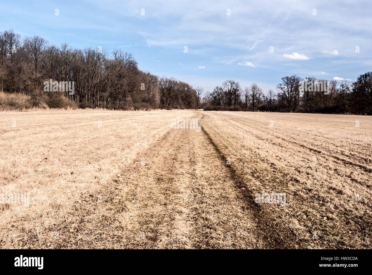 Début du printemps prairie avec patway, forêt en arrière-plan et de ciel bleu dans la chko poodri petrvaldik entre studenka et près de la ville d'Ostrava en République tchèque Banque D'Images