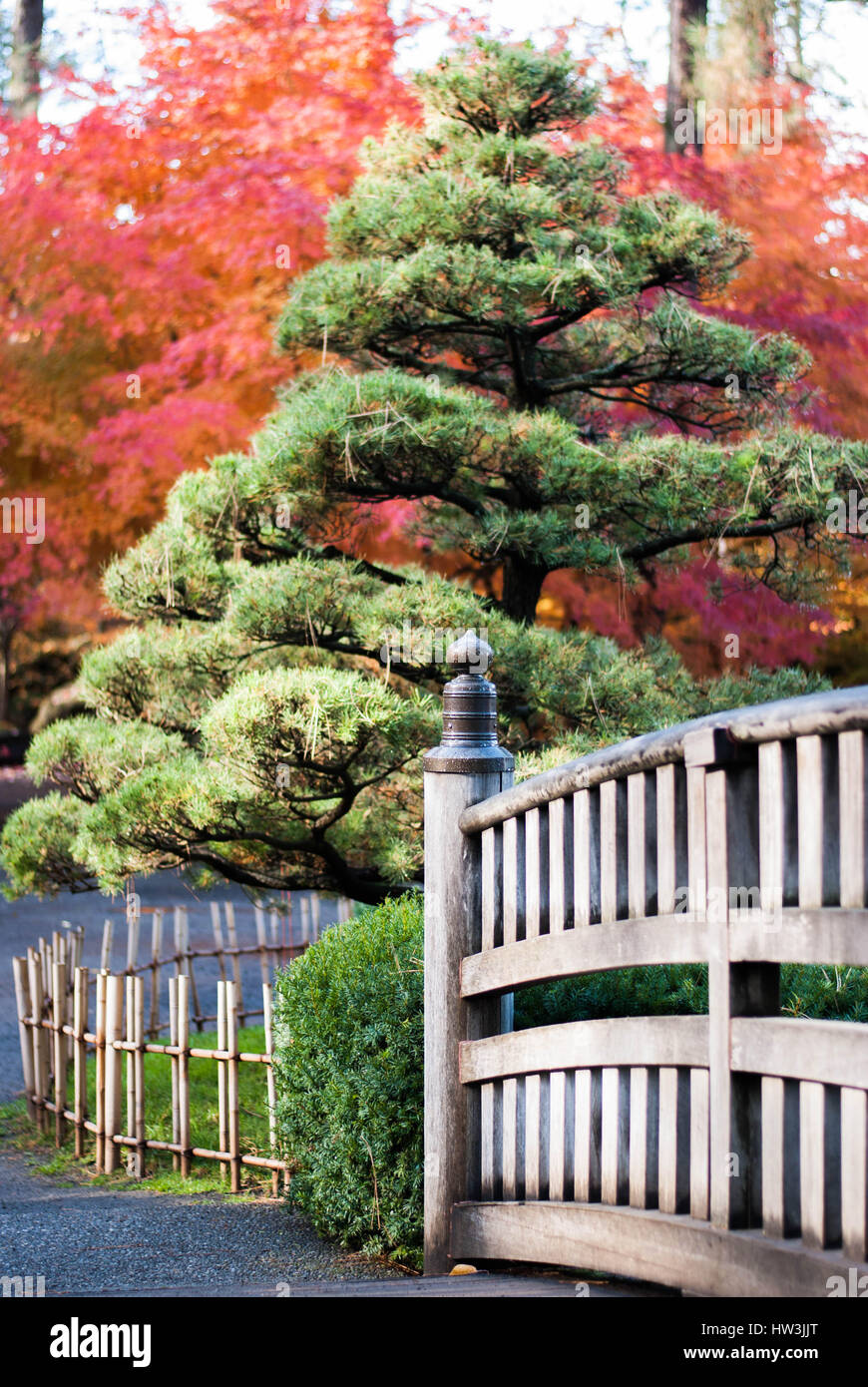 Vue panoramique du parc dans l'automne avec rail en bois et lumineux de couleur à l'automne en arrière-plan. Banque D'Images