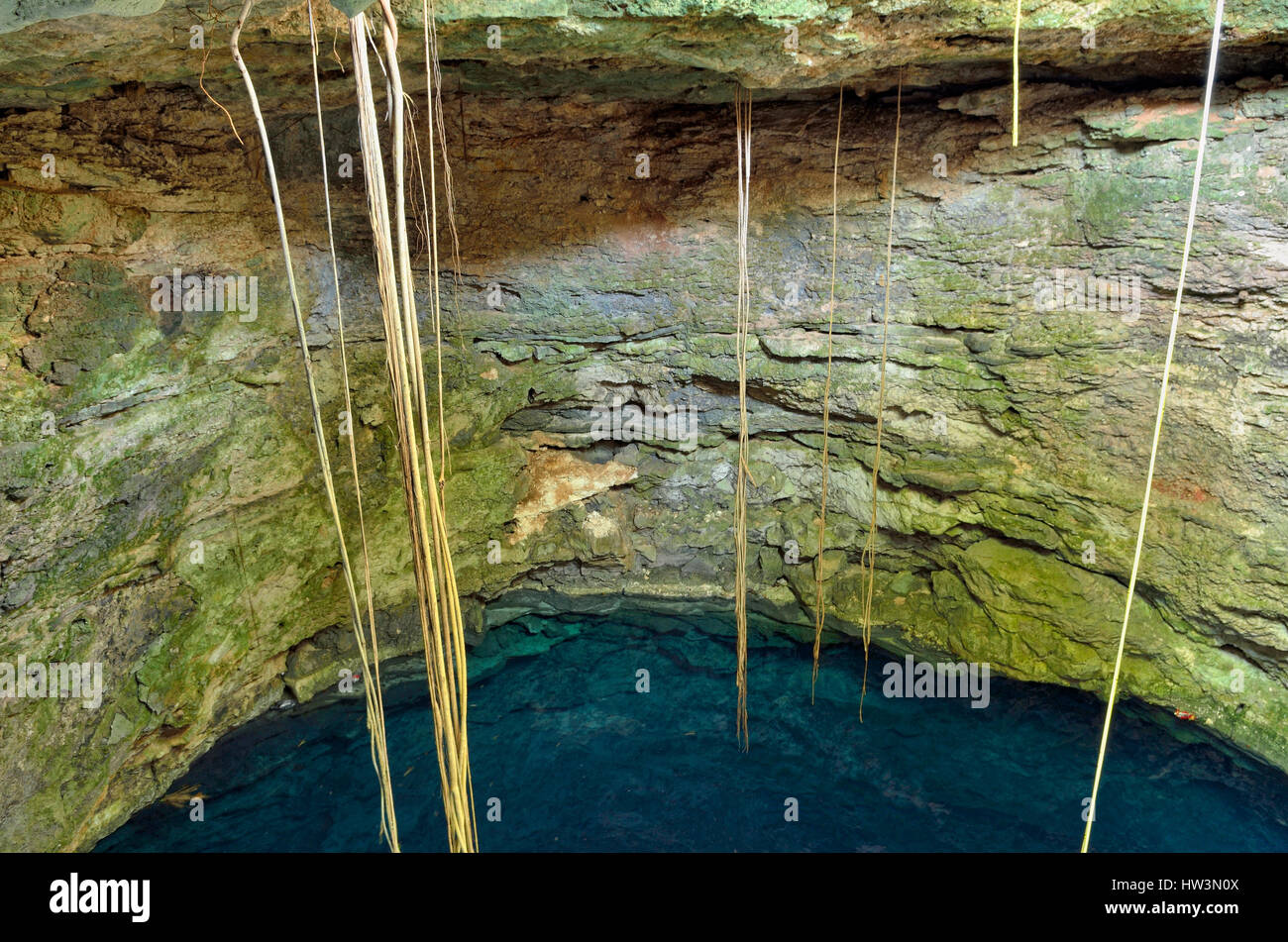 Ik-kil ou Bleu d'eau souterraine cénote, Uitzan, l'état du Yucatan, Mexique Banque D'Images Ik-kil ou Bleu d'eau souterraine cénote, Uitzan, l'état du Yucatan, Mexique Banque D'Images