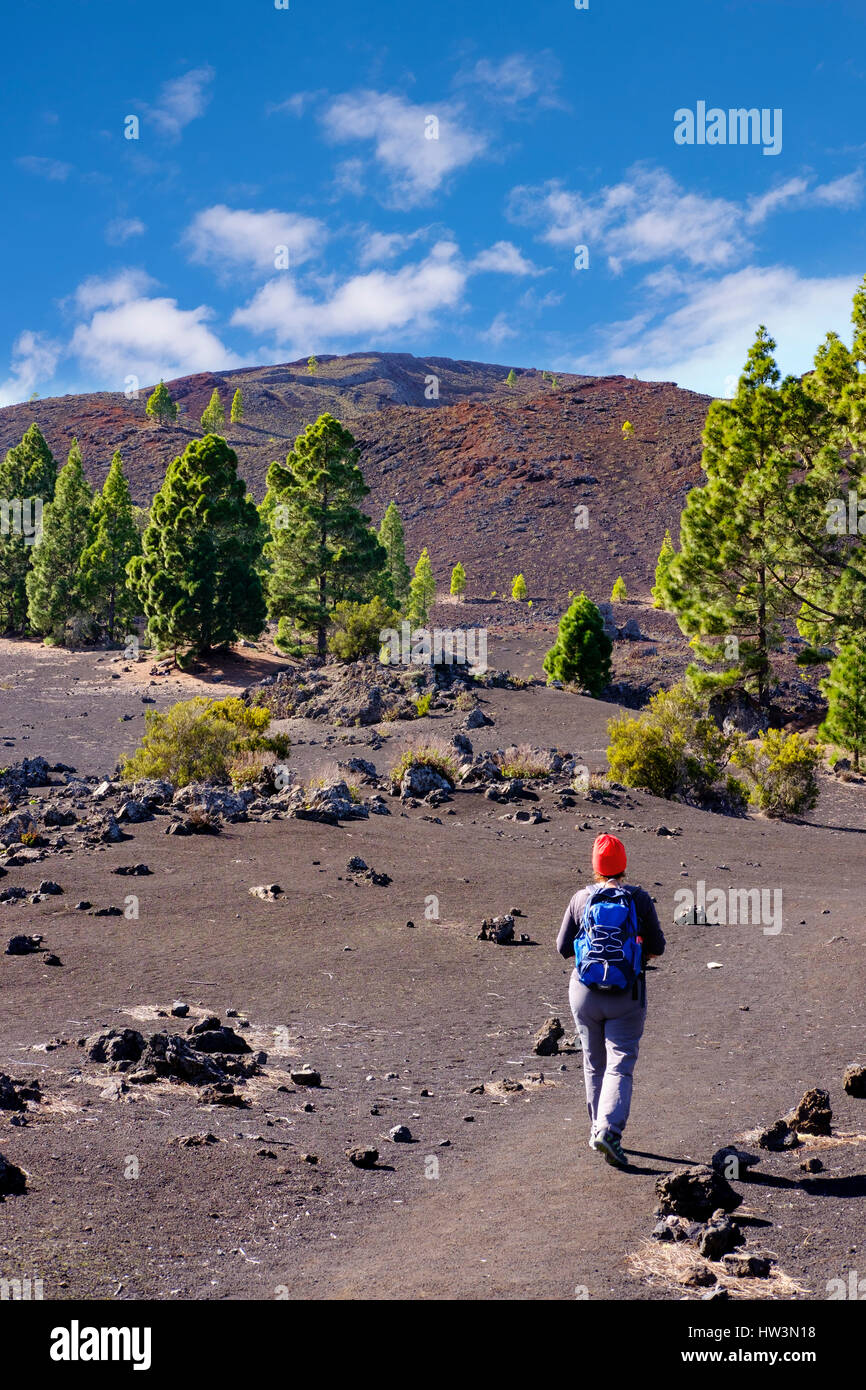 Femme sur le sentier, Montaña Negra volcan ou Garachico, paysage de lave près de El Tanque, Tenerife, Canaries, Espagne Banque D'Images