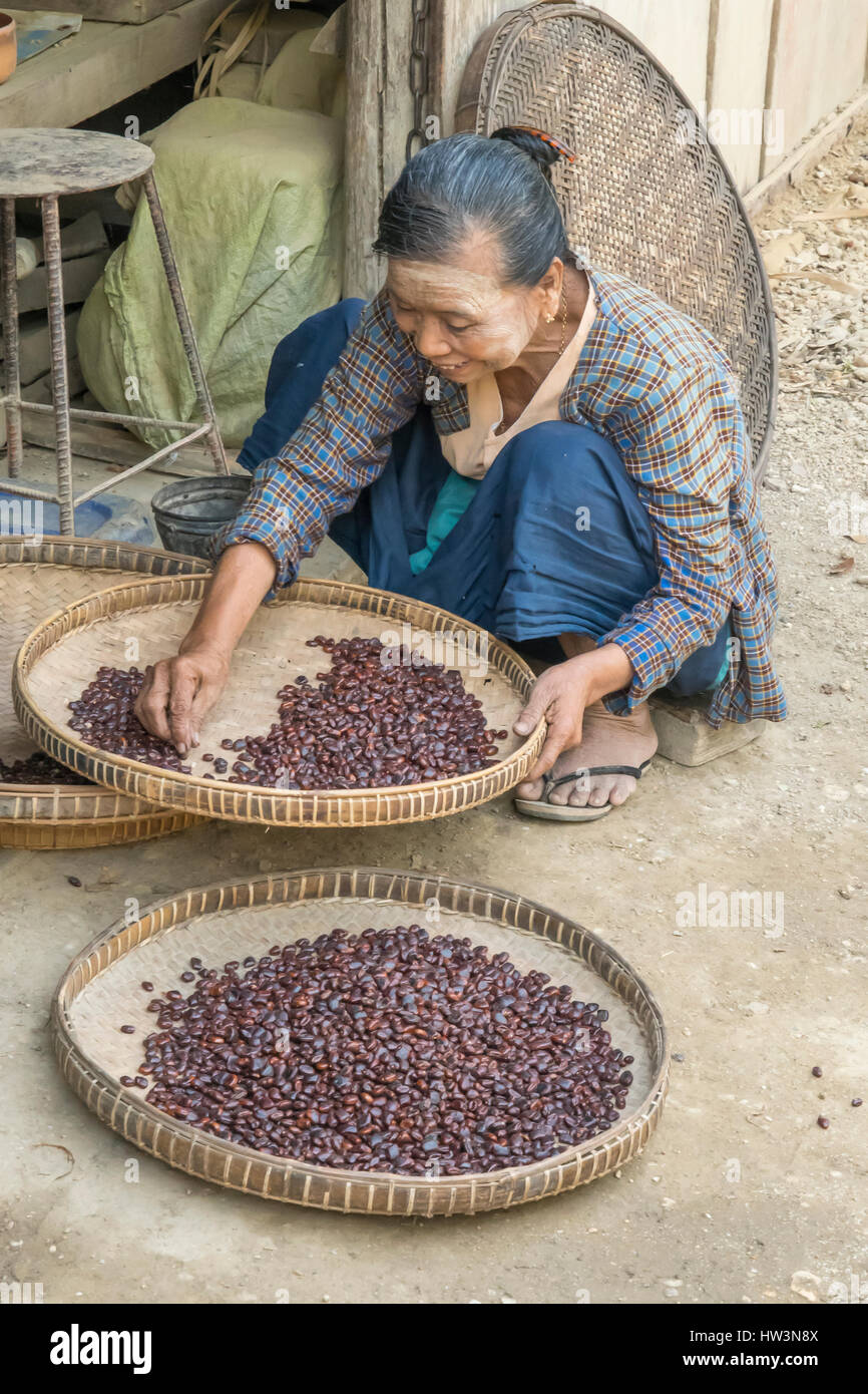 Le tri graines de tamarin à Shwe Kyin, Myanmar Banque D'Images