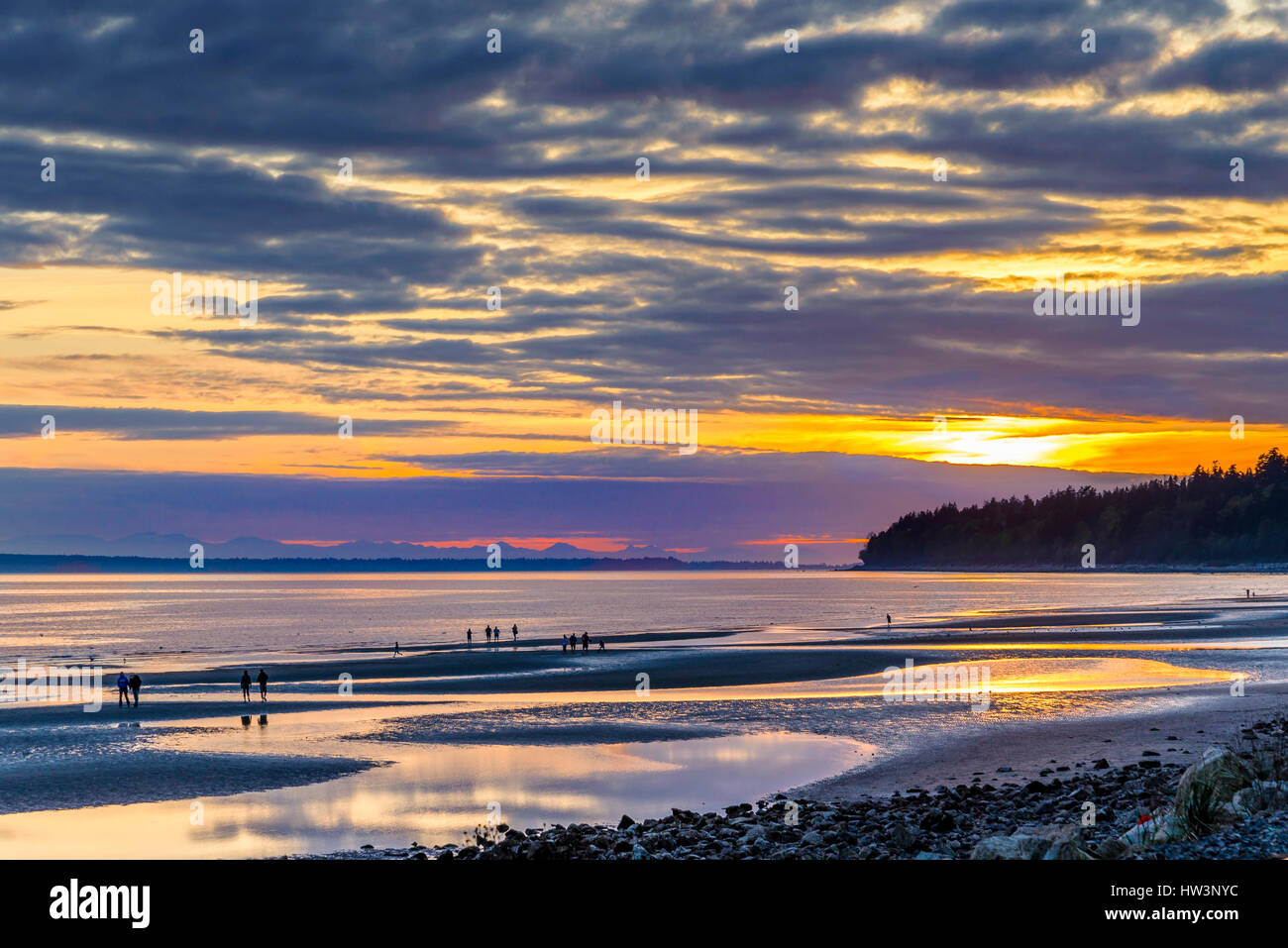 Le coucher du soleil, la baie Semiahmoo, White Rock, British Columbia, Canada Banque D'Images