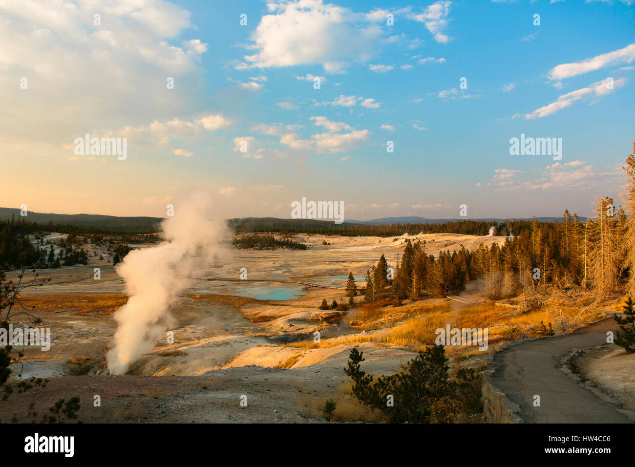 Geyser de dans le Parc National de Yellowstone, Wyoming, United States Banque D'Images