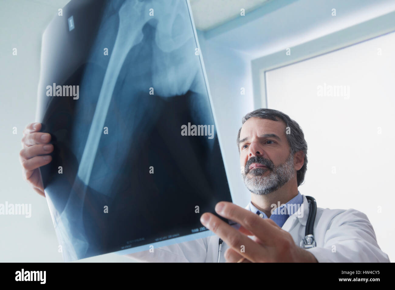 Doctor examining x-ray Banque D'Images