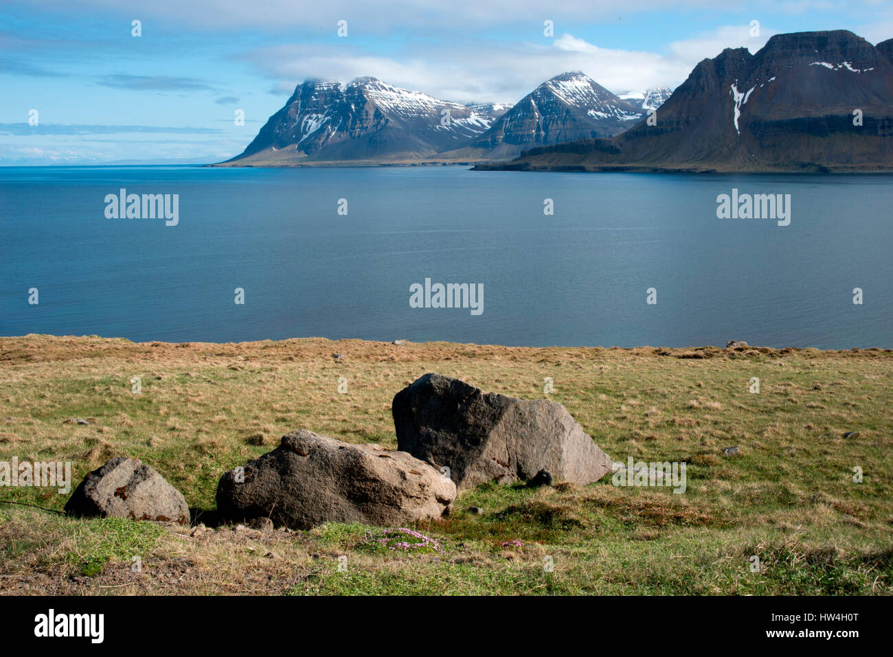 Paysage rural de Arneshreppur, Fjords de l'Ouest, de l'Islande. Banque D'Images