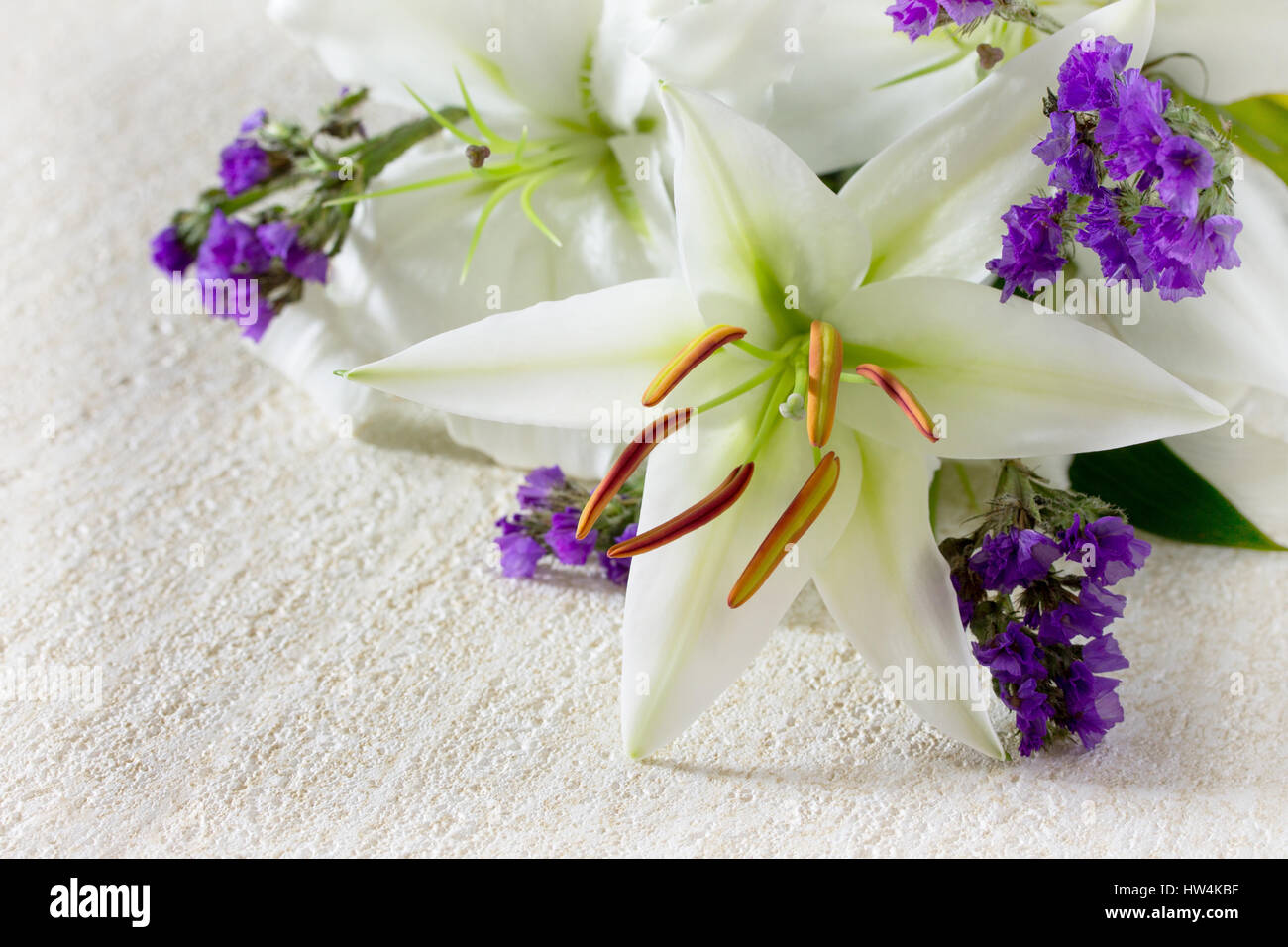 Anniversaire De Mariage Ou De L Arriere Plan Belles Fleurs De Lys Blanc Frais Sur Un Fond De Pierre Copier L Espace Photo Stock Alamy Anniversaire De Mariage Ou De L Arriere Plan Belles Fleurs De Lys Blanc Frais Sur Un Fond De Pierre Copier L Espace Photo Stock Alamy