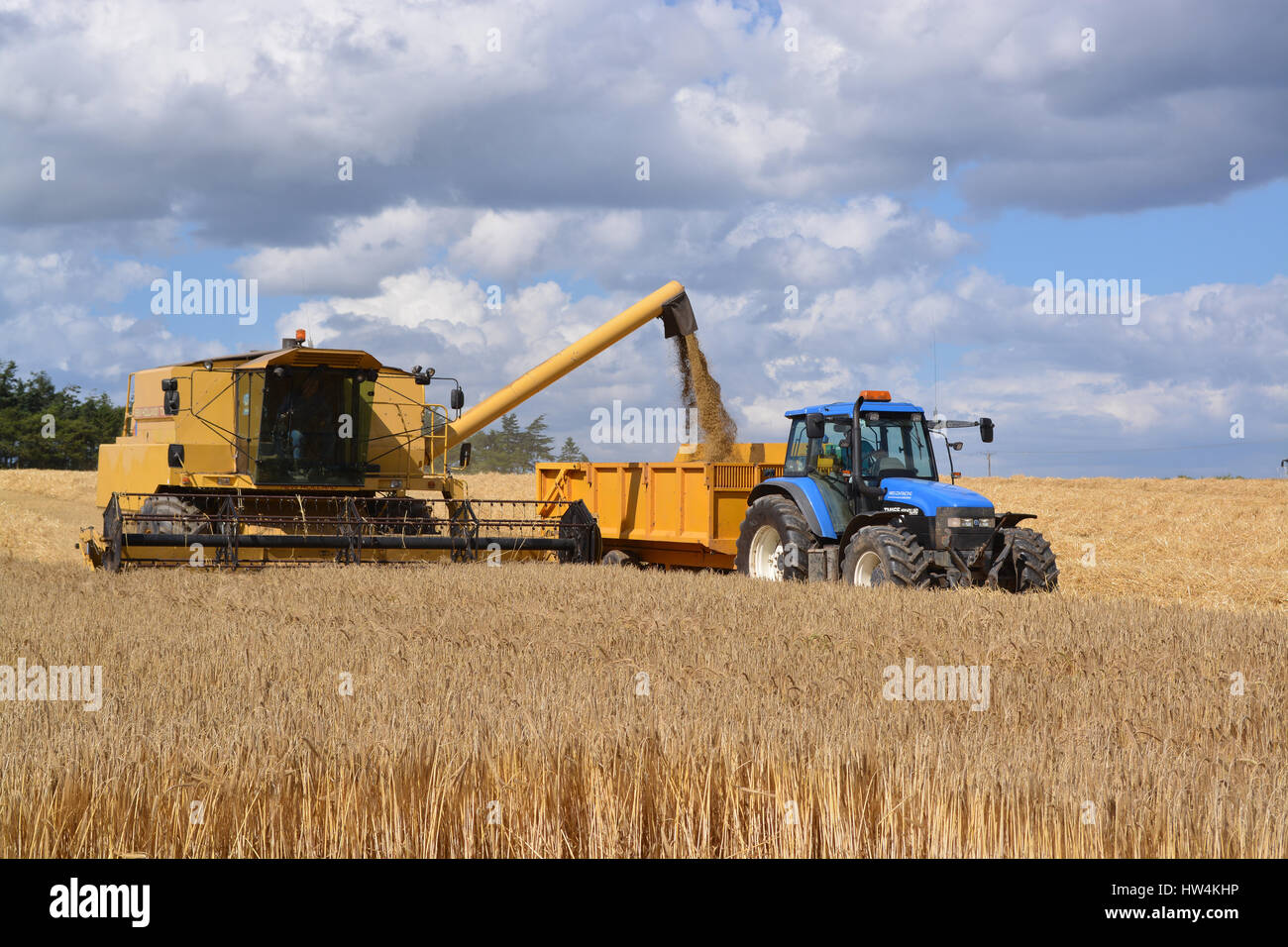 New Holland TX36 et TM165 tracteur Banque D'Images