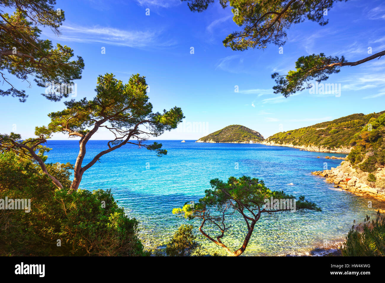 L'île d'Elbe, mer Portoferraio Plage Viticcio pins méditerranéens et la côte Toscane, Italie, Europe. Banque D'Images