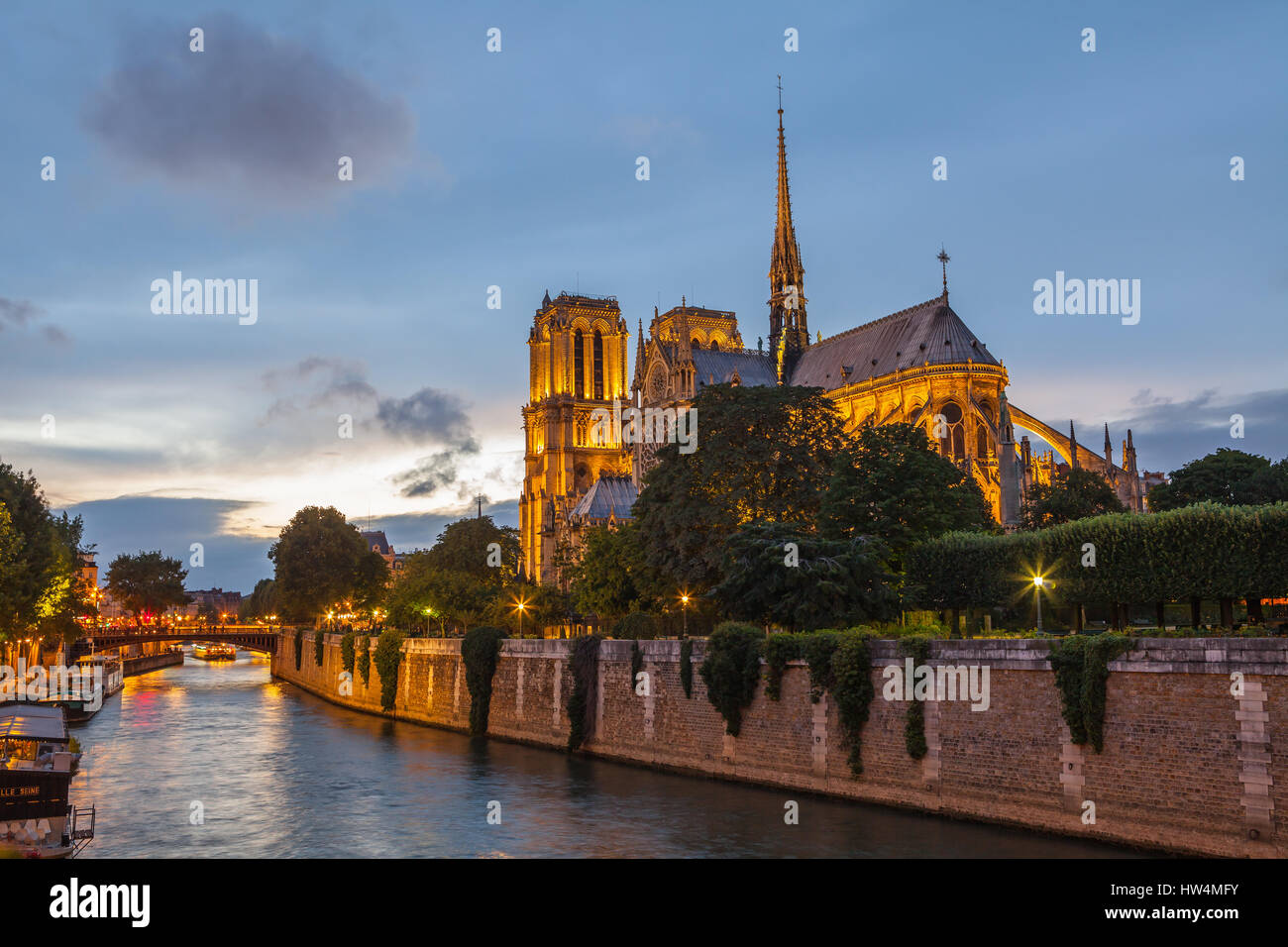 La Cathédrale Notre Dame de nuit. Paris, France. Banque D'Images