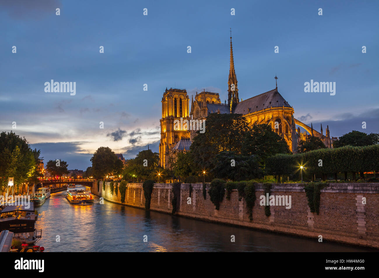 La Cathédrale Notre Dame de nuit. Paris, France. Banque D'Images