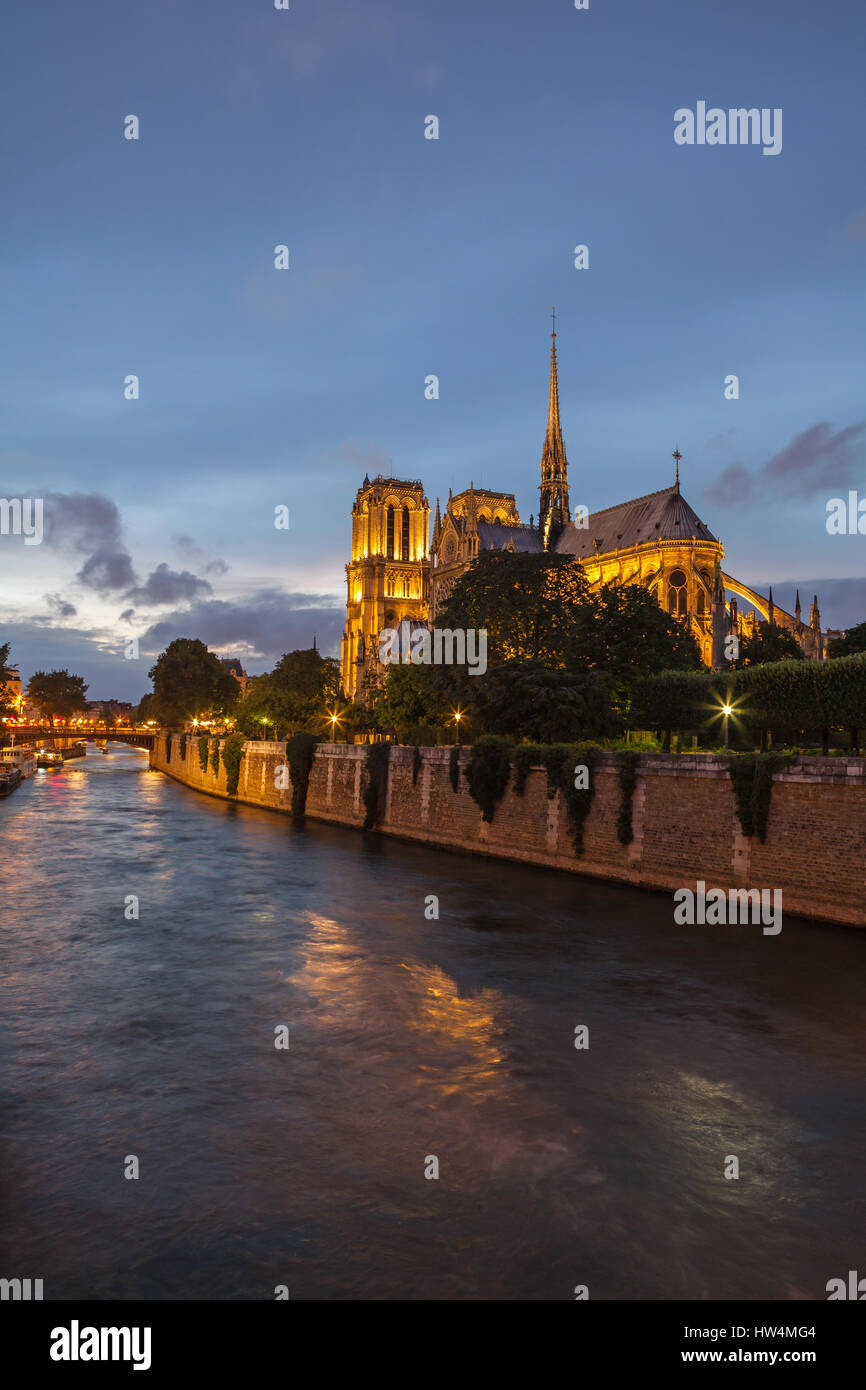 La Cathédrale Notre Dame de nuit. Paris, France. Banque D'Images