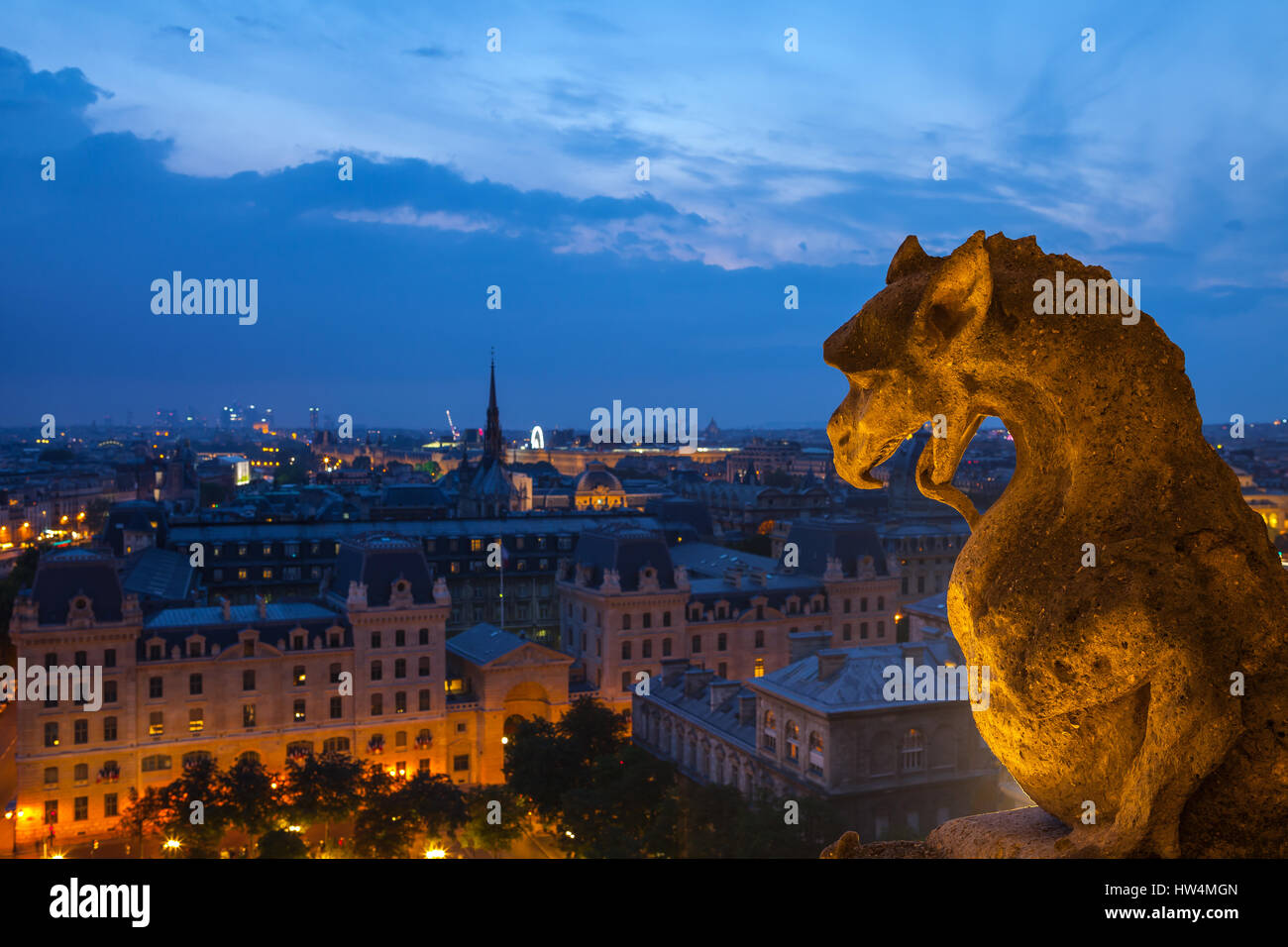 PARIS - JUILLET 15,2014 : gargouille sur le toit de la Cathédrale Notre Dame, Paris. Vue de nuit le toit de Notre Dame de Paris. 15 juillet, Paris, France. Banque D'Images