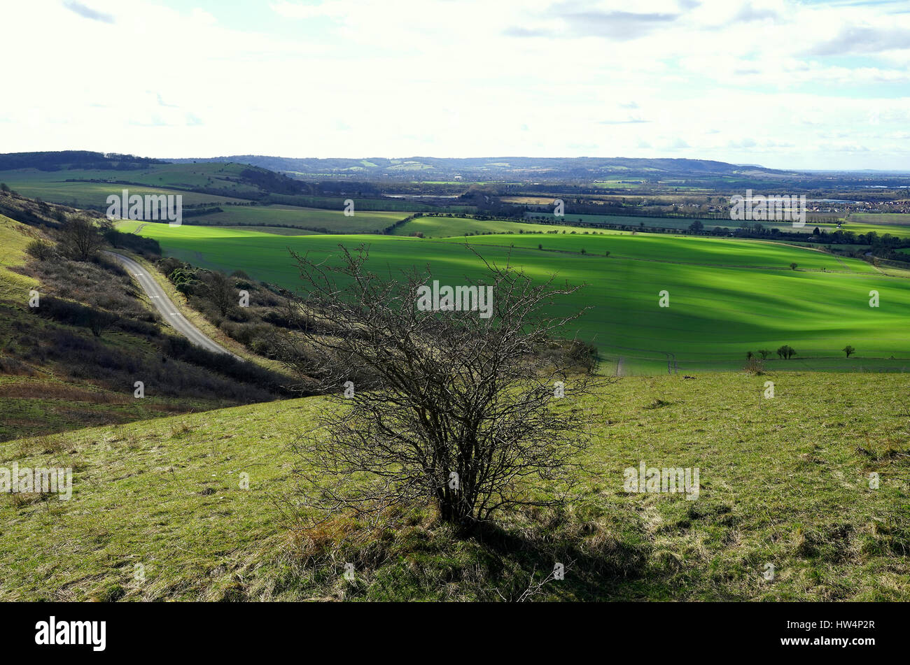 Une vue de Ivinghoe Beacon Banque D'Images