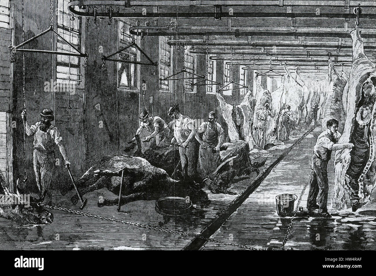 Abattoir de Chicago sur 1892 Banque D'Images