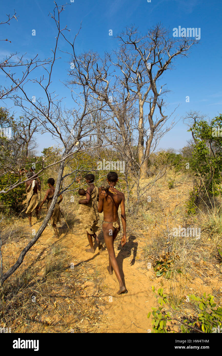 Les bushmen dans la brousse africaine à Grashoek, le nord de la Namibie Banque D'Images