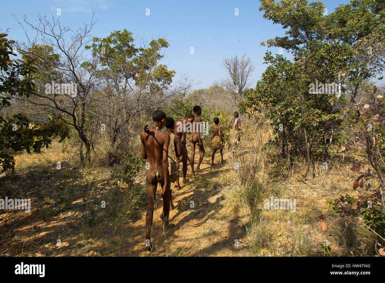 Les bushmen dans la brousse africaine à Grashoek, le nord de la Namibie Banque D'Images